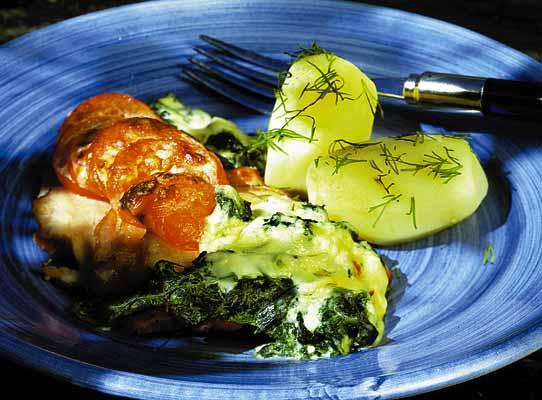 Florentinsk kassler II