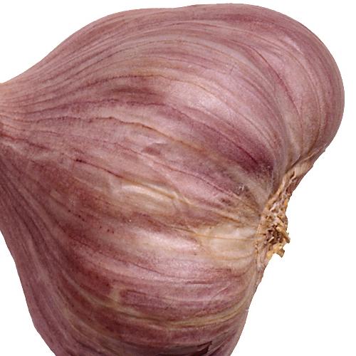 Grönsakspaj med vitlökssås