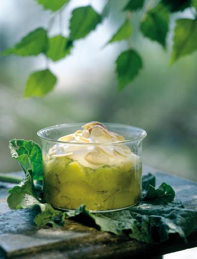 Marängtoppad rabarber