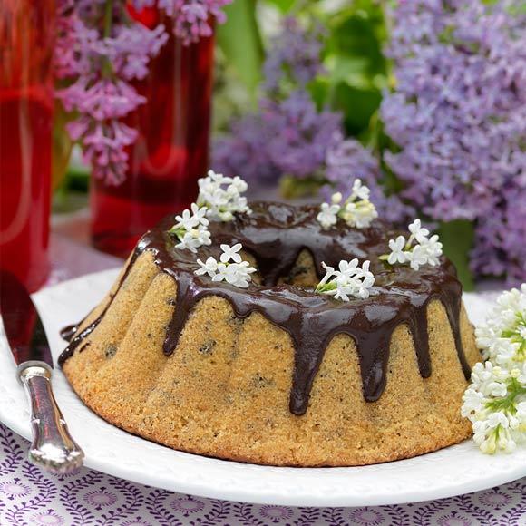 Sockerkaka med chokladglasyr