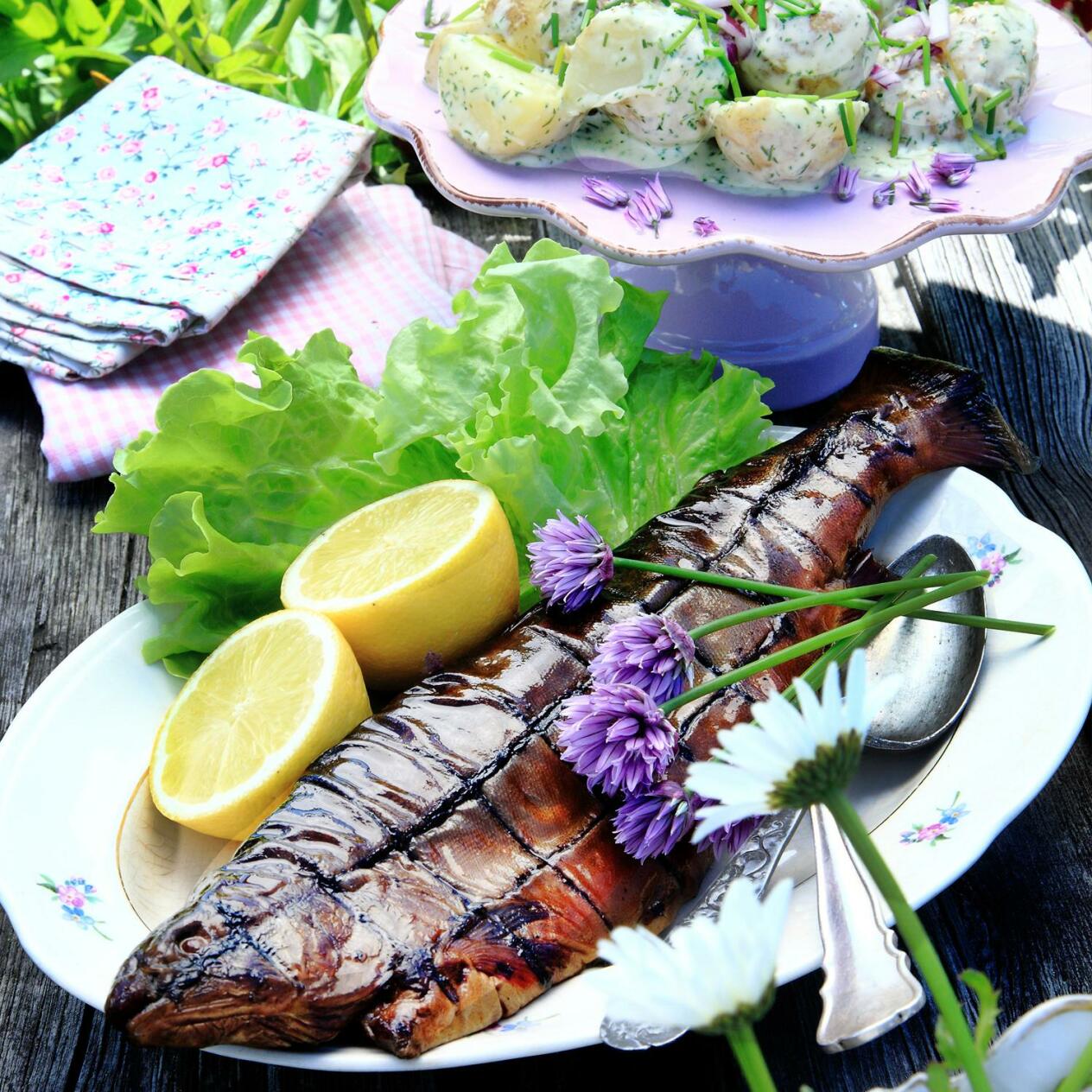 Varmrökt lax med krämig pepparrotspotatis