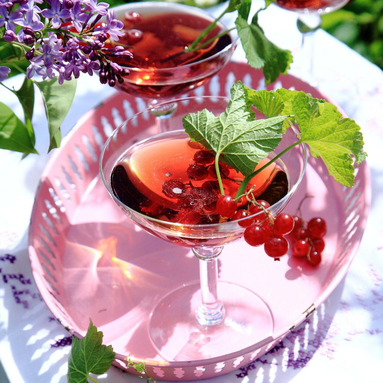 Mousserande gindrink med vinbär