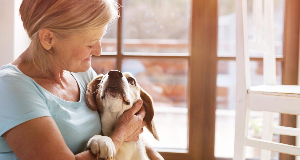 Din hund älskar dig, men den bryr sig faktiskt inte om hur du pratar med den. Foto: Istock