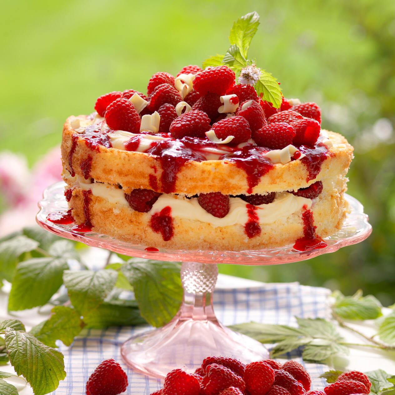 Hallontårta med vit choklad och mascarpone