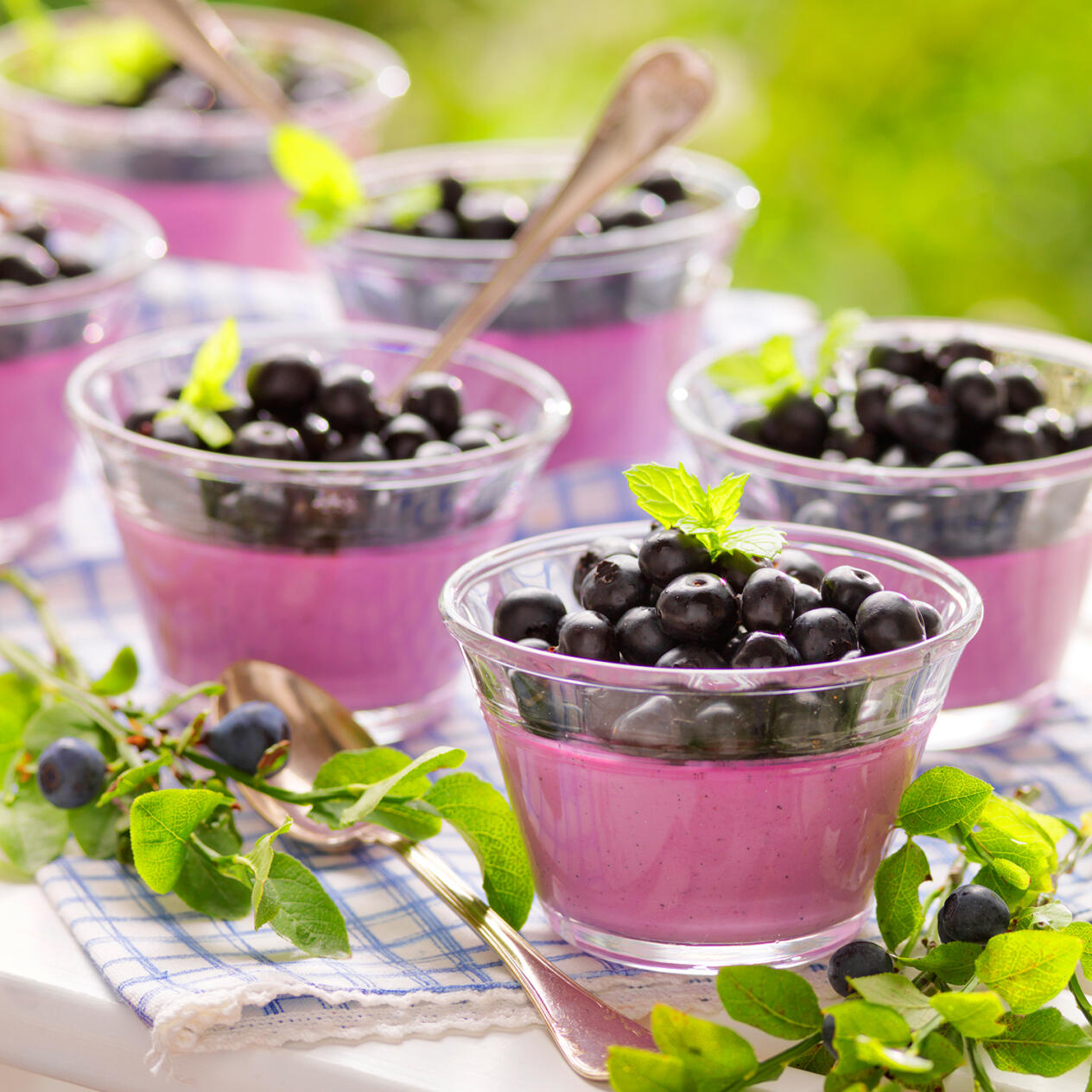 Blåbärspannacotta med vanilj