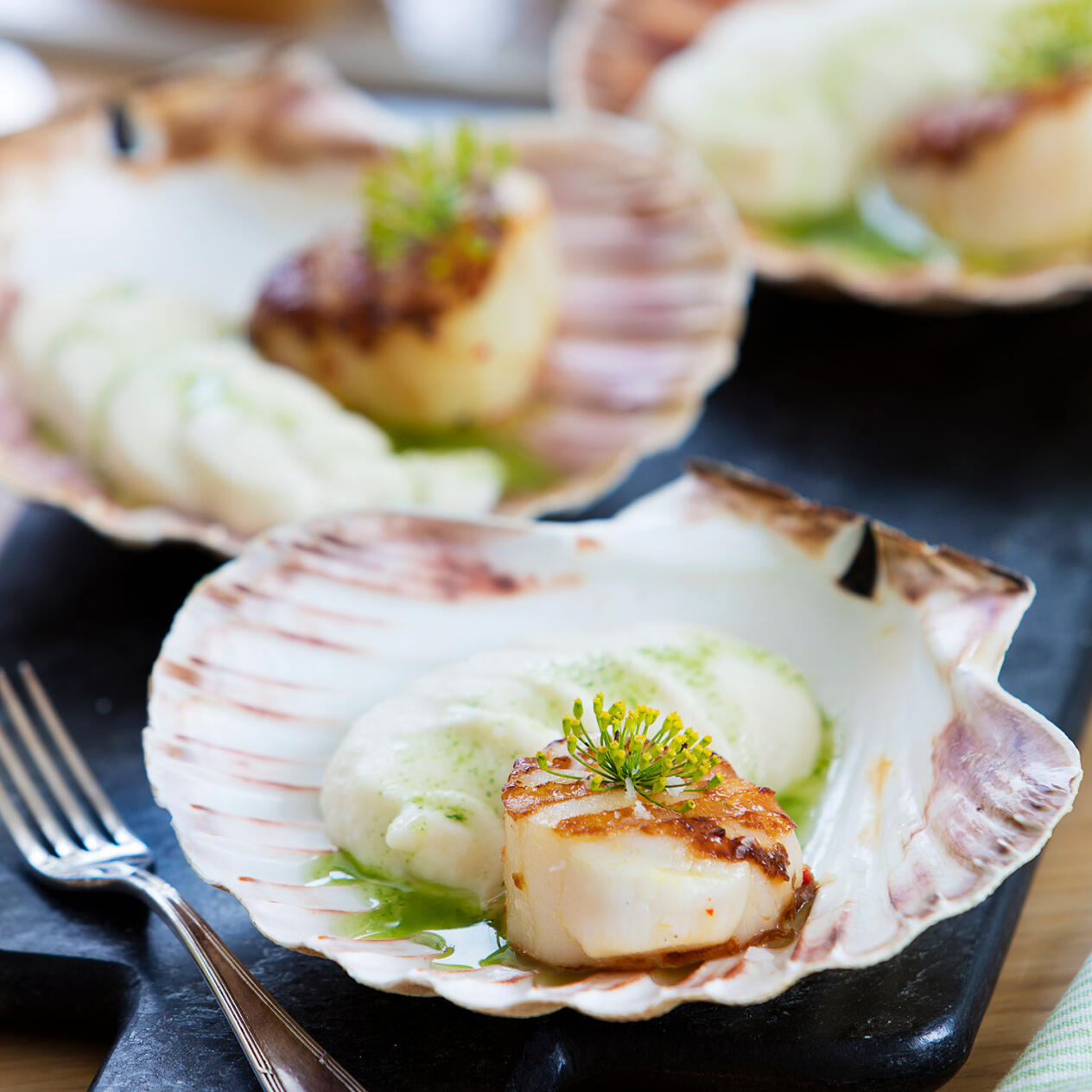 Grillade pilgrimsmusslor med krämig blomkålspuré