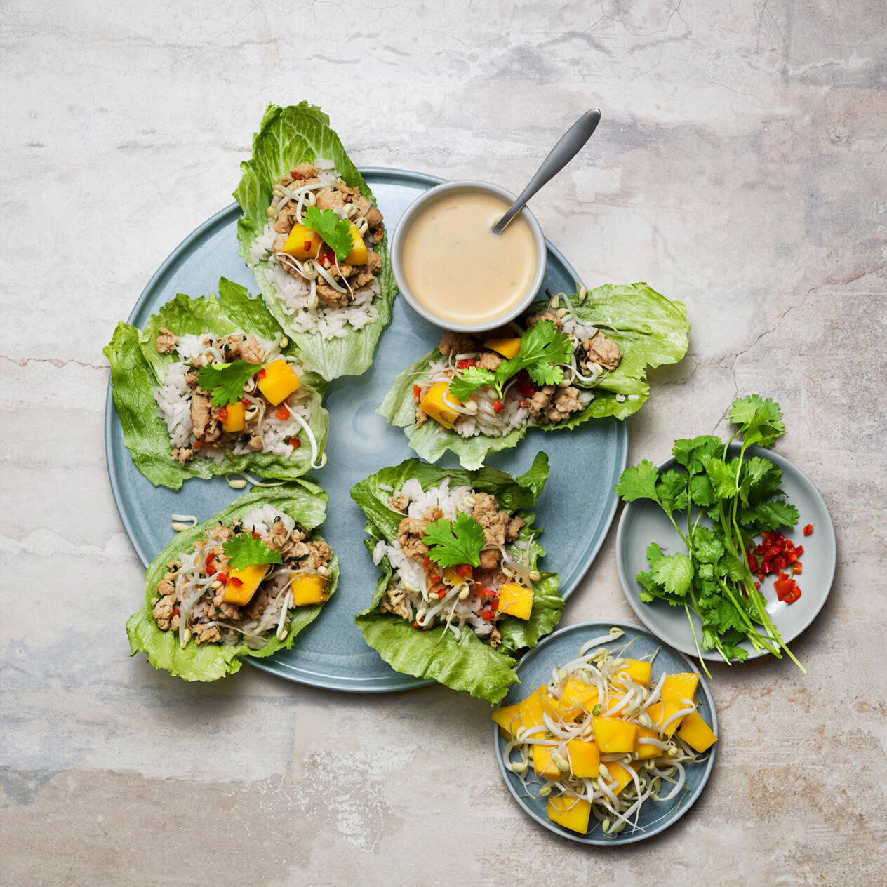 Salladsknyte med kycklingfärs och limesås