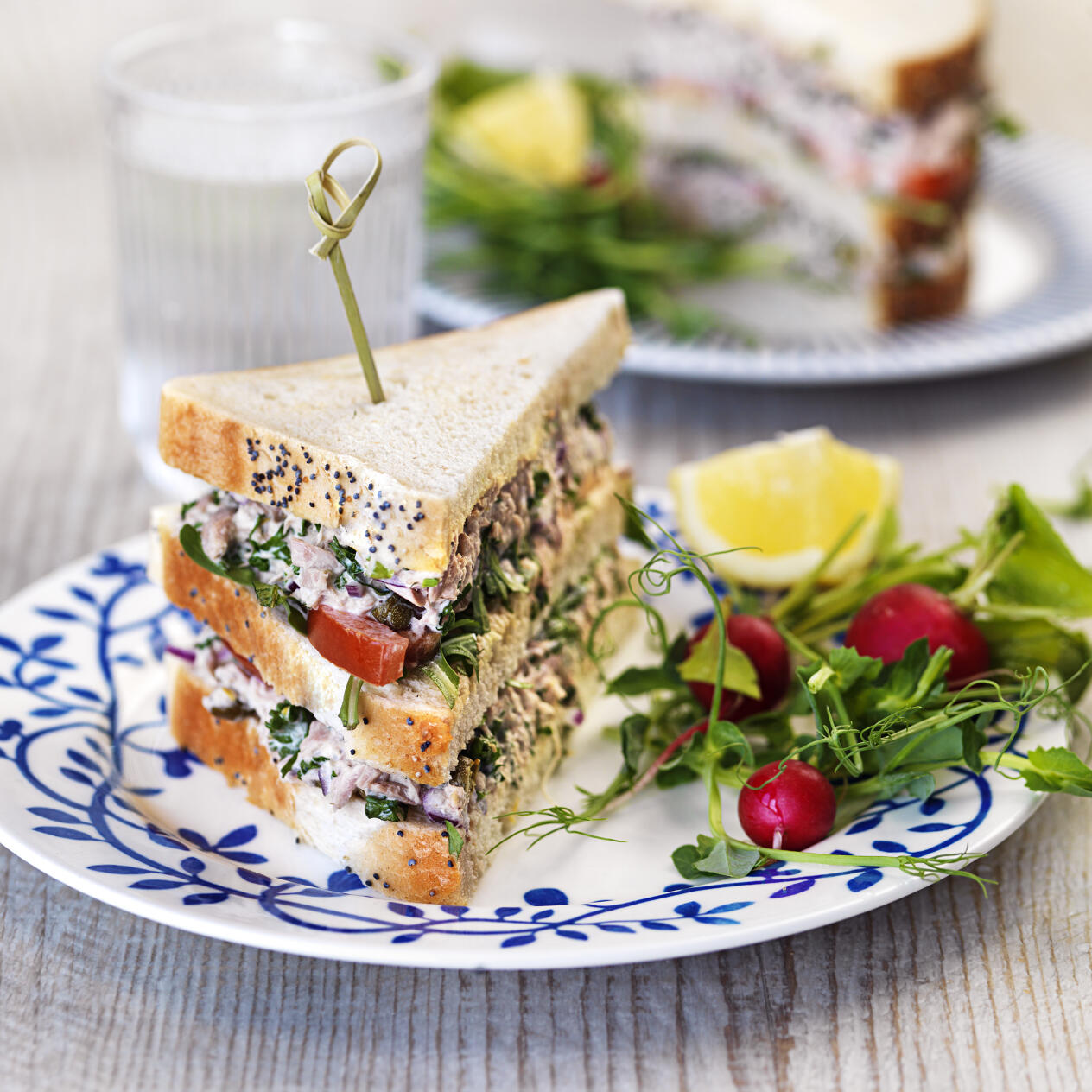 Tonfiskmacka med rödlök och persilja