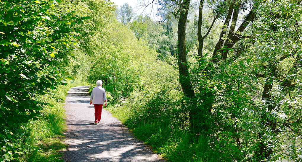 Promenera utomhus och dra fördel av alla positiva effekter naturen har på din hälsa. Foto: Getty Images