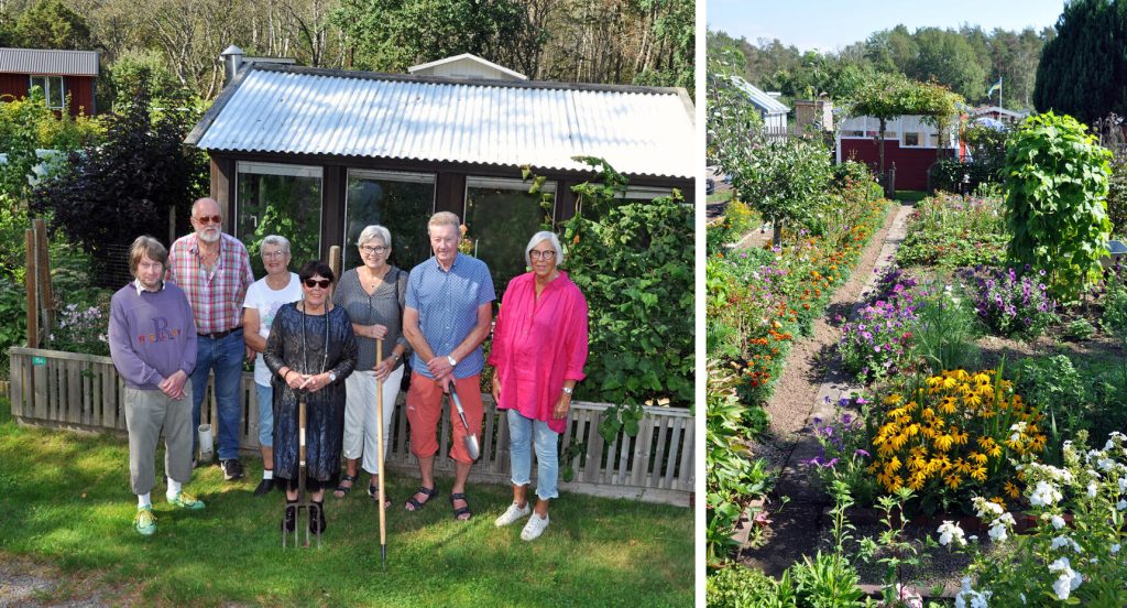 Från vänster: Sven-Erik Magnusson, Johnny Edvinsson, Evy Tompowsky, Eva Hjort, Gunnel Svensson, Sven-Olof Svensson och Kerstin Lundh.