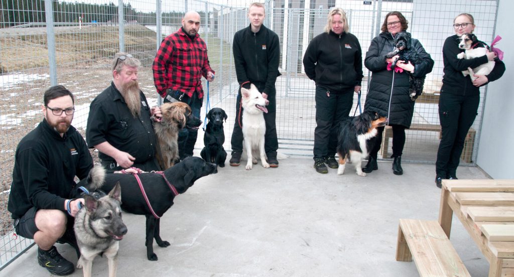 Från vänster: Peter Egier med gråvakteln Sune och labradoren Elsa, Nicklas Lundh med leonbergern Lilla Li, Christian Espinoza med labradoren Millie, Sebastian Elvinsson med vita schäfern Gizmo, Madelaine Borg med Valter, en australian shepherd, Charlotte Rudén med blandrasen Coco Chanel och Alice Färnemyhr med blandrasen Lucy.