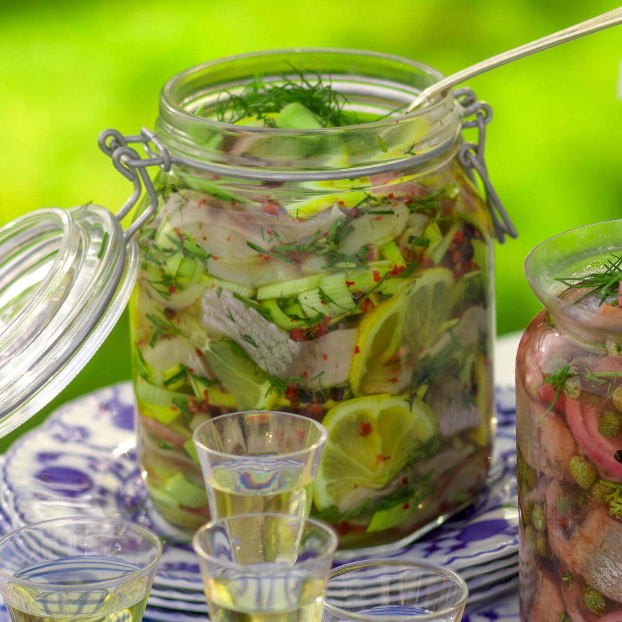 Midsommarsill med purjolök och örter