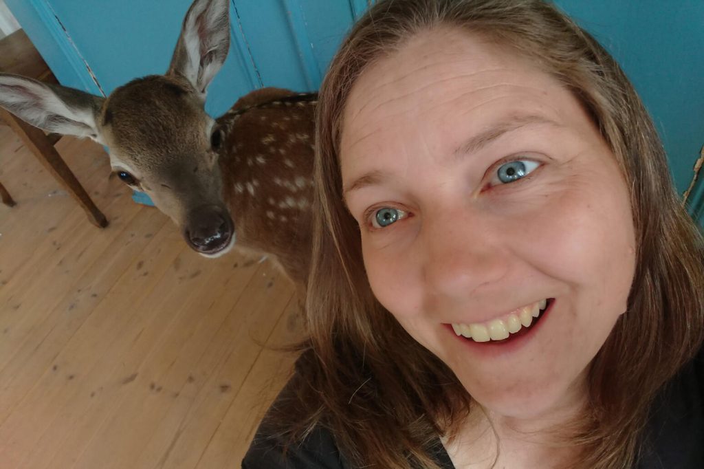 Hjortkalven Bambi fick ett nytt hem hos Sara-Britta Edlund. (Privat bild)