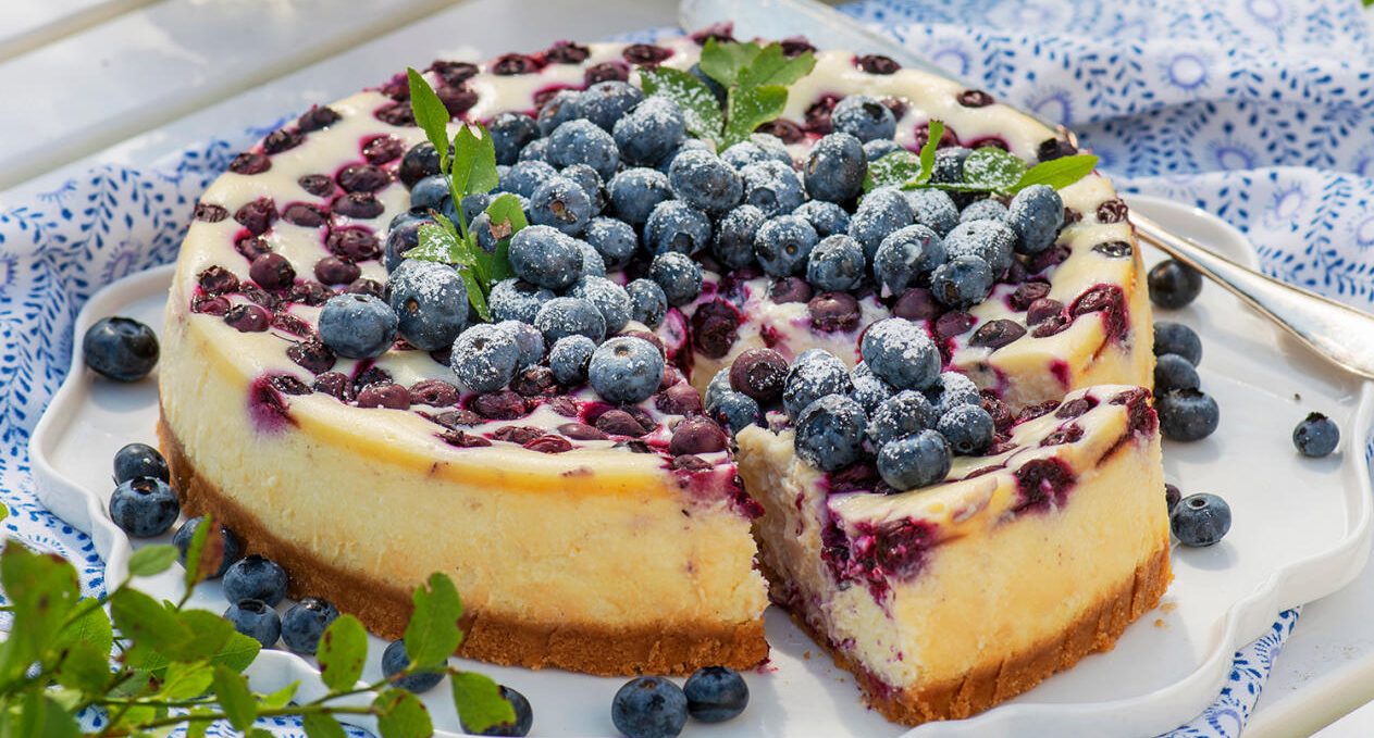 Blåbärscheesecake
