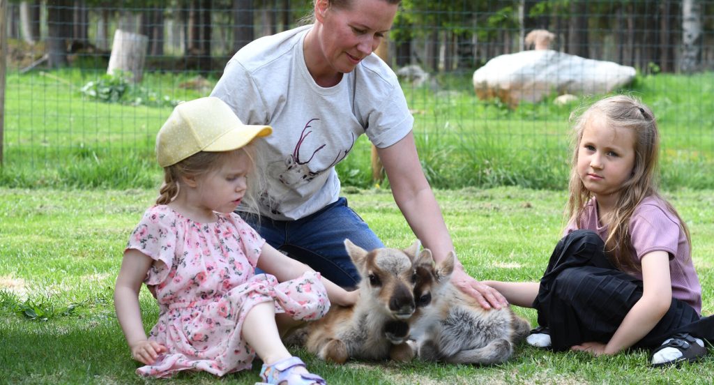 Anna-Lenas barnbarn gillar sina nya kompisar.