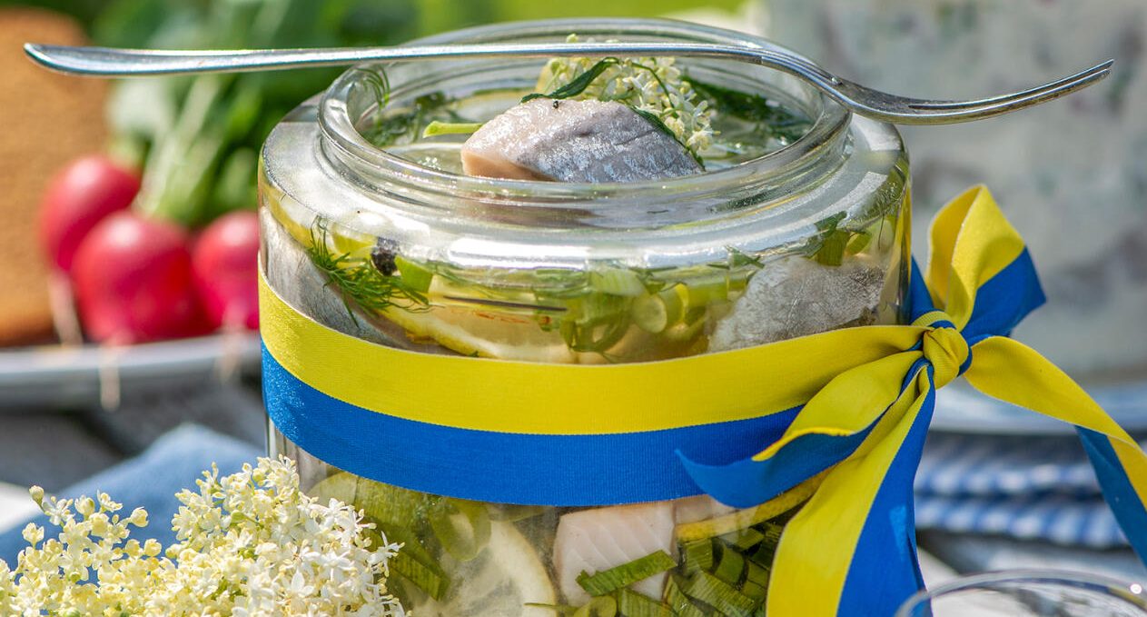 Flädersill med dill