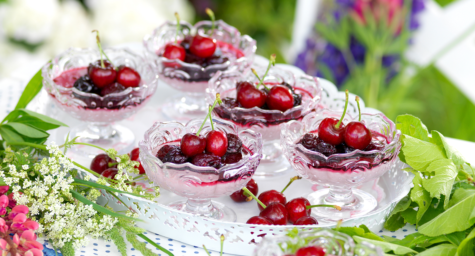 Körsbärspannacotta