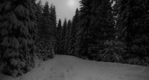 Stenbergsmordet 1915: Mördaren lämnade Elin att dö i snön – mordplatsen hedras än idag