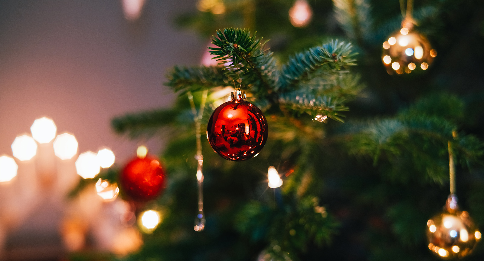 Julhoroskop 2024: Så blir julen för ditt stjärntecken