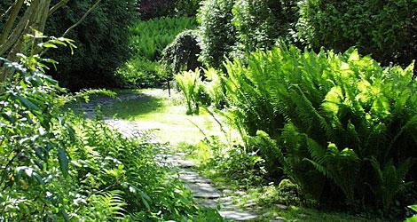 Norrvikens trädgårdar, Båstad. Foto: Katarina Fagerström