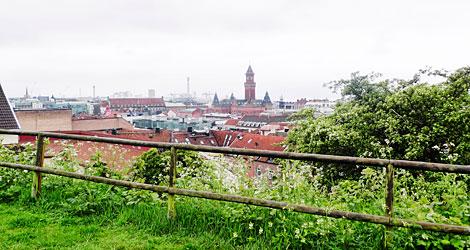 Utsikt över takåsarna – och det höga råd­hustornet. Foto: Maria Fröjdh