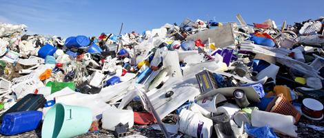 Foto: Jenny Lindberg