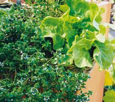 Foto: Annika Christensen