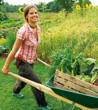 Frida Mörnerud, trädgårdsmästare på Wij Trädgårdar i Ockelbo med ett lass nyskördade grönsaker.Foto: Christer Vallstrand