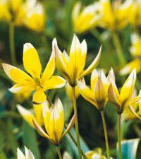 Foto: Ann-Christin och Dan Rosenholm