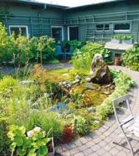 Terapiträdgården på Umeå universitet består av en innedel och en utedel, för att verksamhet ska kunna bedrivas året om.Foto: Patrick Trägårdh