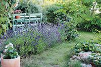 Stigar, rabatter och krukor ger omväxling på den lilla ytan.Foto: Annika Christensen