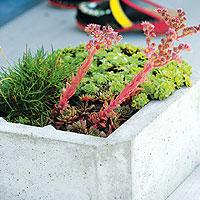 Betongkrukan med taklök står ute året om.