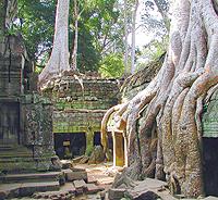 Angor Wat, Kambodja.