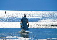 Stränderna på andra sidan Österjön är härligt långa, med finkornig sand och altid lite varmare än hemma. Förr reste många svenskar till Pärnu lika självklart som till Mölle.Alla fotografier: Ingegerd och Peter Karnz