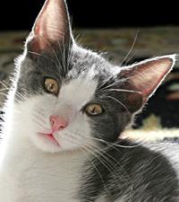 Foto: Eivor Rasehorn