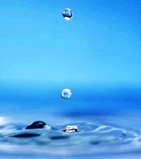 Chris Bahr / WWF-Canon