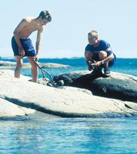 Samlare är vi alla. Att gå efter strandkanten och göra fynd tillhör somamrens nöjen. Stenar, små träbitar och ilandflutet från båtar. Alltd hittar man något som är dekorativt.