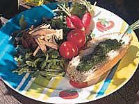 Sommarsallad med grön sås