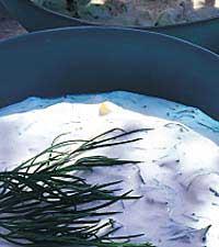 Lime- och gräslöksdip