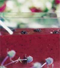 Björnbärsvinägrett