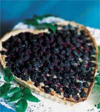 Långängens bärpaj