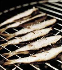 Strömming med basilikasmör