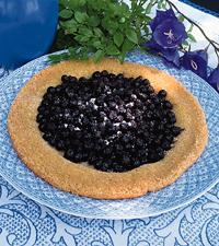 Snabb blåbärskaka