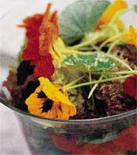 Sallad med krasseblommor