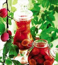 Tinas Madeiraplommon