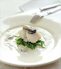 Pocherad havskatt & ostronsås