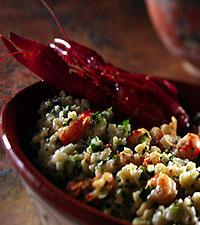 Kräftstjärtar med fregolapasta