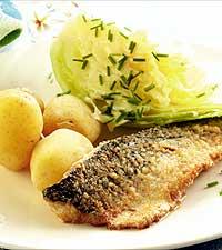 Västkustmakrill och ny kål