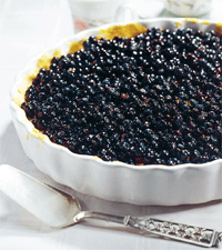 Tellbros paj med blåbär