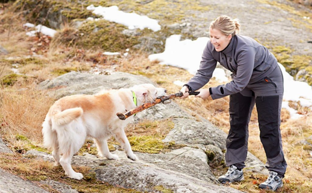 Har du hund får du både motion och avkoppling varje dag. Foto: Susanne Kronholm